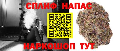 сатива Бийск