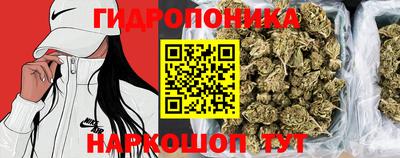 spice Беслан