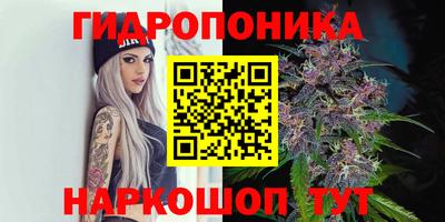 сатива Бийск