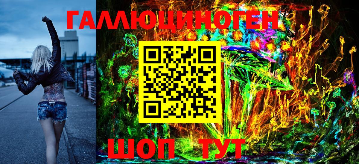 Псилоцибиновые грибы Psilocybe Качканар